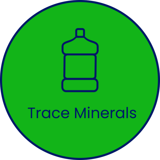 Add-on 5 Gallon Trace Mineral Water