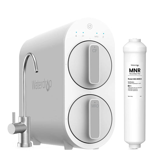 G2 Remineralization RO System