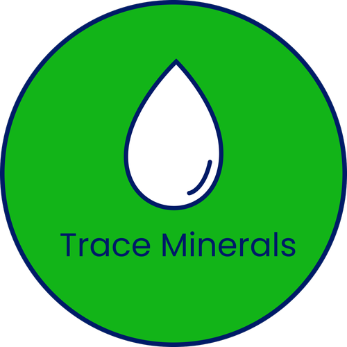 By the Gallon Trace Mineral Water Pick Up